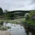 IMG_0716